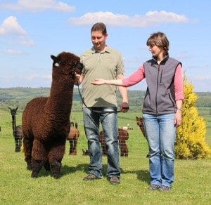 Steffe-and-Antje-with-Inca-Hallmark-web