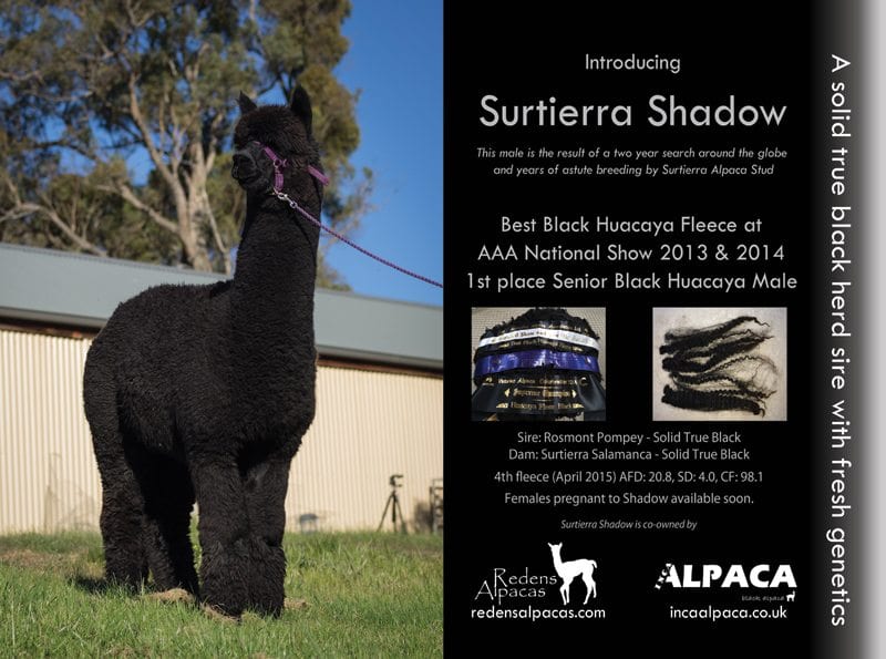 Surtierra Shadow