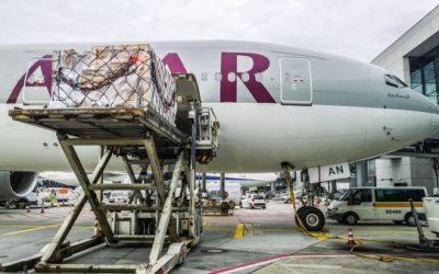 Middle East Exports are on the rise!